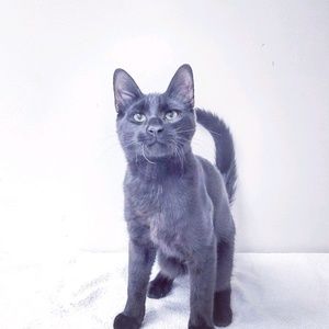 Meet your Posher, Kaitlyn